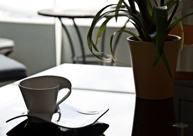 Coffee cup and plant